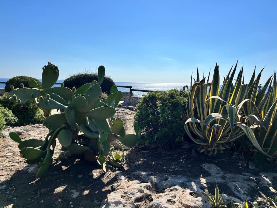 Villa Sebastian- Incomparabile Vista Sul Mare Plemmirio Eksteriør billede